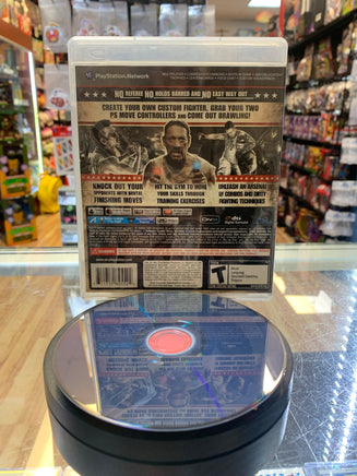 The Fight: Lights Out (PlayStation 3, Video Games) - Bitz & Buttons