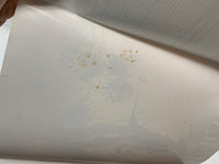 Origin The True Story Of Wolverine (Marvel Trade Hardback) - Bitz & Buttons