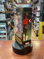 Hellfire Gala Spider-Man (Marvel Legends, Hasbro) SEALED