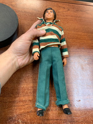 Parker Stevenson 12" Figure (Vintage Hardy Boys, Kenner) - Bitz & Buttons