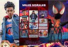 Miles Morales ATS MMS710 (Hot Toys, Marvel) **SEALED** - Bitz & Buttons