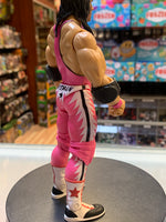 Bret “Hitman” Hart 4241 (WWE Classic Superstars, Jakks Pacific)