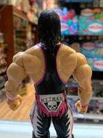 Bret “Hitman” Hart 4247(WWE Classic Superstars, Jakks Pacific)