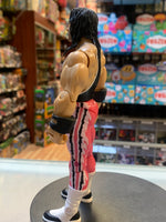 Bret “Hitman” Hart 4250(WWE Classic Superstars, Jakks Pacific)