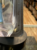 Marshall Mathers 8 Mile (Shady Con Exclusive, Universal Marketing) NEW