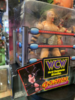 Goldberg & Masked Wrestler (WWE Smash ‘N Slam, Toybiz)