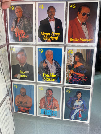 WF Wrestling Card Collector’s Album WITH Cards (Vintage WWF, TitanSports) - Bitz & Buttons