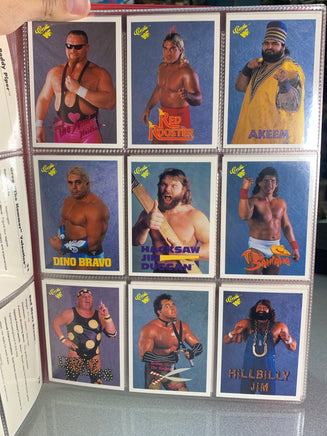 WF Wrestling Card Collector’s Album WITH Cards (Vintage WWF, TitanSports) - Bitz & Buttons