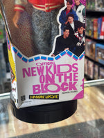 Joe (Vintage New Kids on the Block, Hasbro) SEALED - Bitz & Buttons