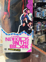 Jordan (Vintage New Kids on the Block, Hasbro) SEALED - Bitz & Buttons