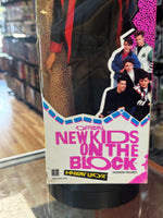 Jordan (Vintage New Kids on the Block, Hasbro) SEALED - Bitz & Buttons