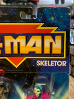 Skeletor(New Adventures He-man MOTU, Mattel) Sealed