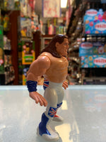 The British Bulldog 3834 (Vintage WWF WWE, Hasbro)