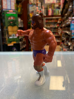 Macho King Randy Savage 3835 (Vintage WWF WWE, Hasbro)