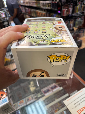 Grump #348 (Funko Pop, Disney) - Bitz & Buttons