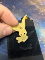 Sitting Tinkerbell (Disney, Pin Traders) - Bitz & Buttons