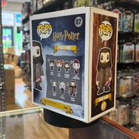 Rubeus Hagrid #07 (Funko Pop!, Harry Potter)