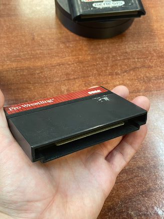 Pro Wrestling 0802 (Sega Master System, Video Games) - Bitz & Buttons