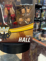 NWO Scott Hall Outsider (WWE Elite, Hasbro) SEALED - Bitz & Buttons