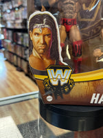 NWO Scott Hall Outsider (WWE Elite, Hasbro) SEALED - Bitz & Buttons
