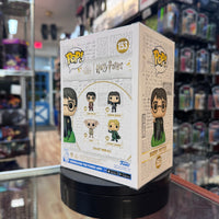 Harry Potter #153 Exclusive (Funko Pop!, Harry Potter)