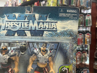 Legion of Doom 2000 (Vintage WWF BCA, Jakks Pacific) SEALED - Bitz & Buttons