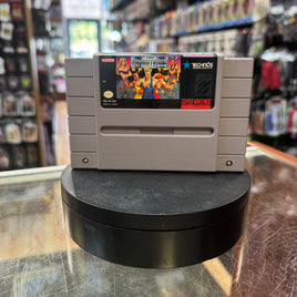 The Combatribes (SNES Super Nintendo, Vintage Video Games) LOOSE