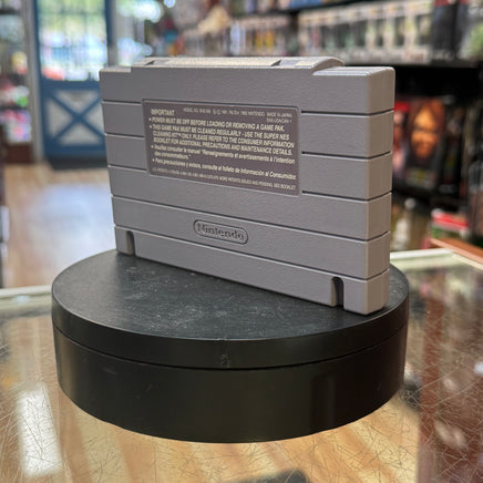 TMNT Tournament Fighters (SNES Super Nintendo, Vintage Video Games) LOOSE - Bitz & Buttons