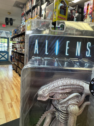 Xenomorph Albino Drone Concept (Aliens, NECA) SEALED - Bitz & Buttons