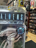 Xenomorph Albino Drone Concept (Aliens, NECA) SEALED - Bitz & Buttons