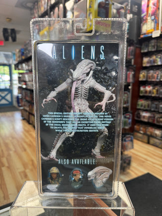 Xenomorph Albino Drone Concept (Aliens, NECA) SEALED - Bitz & Buttons