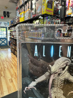 Xenomorph Albino Drone Concept (Aliens, NECA) SEALED - Bitz & Buttons