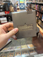 Gargoyles Quest 2 (Vintage Nintendo NES, Video Game) - Bitz & Buttons