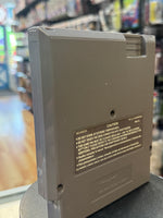 Adventure Island 3 (Vintage Nintendo NES, Video Game) - Bitz & Buttons