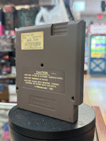 Double Dragon (Vintage Nintendo NES, Video Game) - Bitz & Buttons