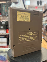 Double Dragon (Vintage Nintendo NES, Video Game) - Bitz & Buttons