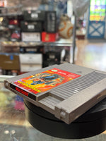 Ninja Gaiden (Vintage Nintendo NES, Video Game) - Bitz & Buttons