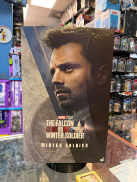 Winter Soldier -Falcon & Winter Soldier- (Marvel, Hot Toys) COMPLETE