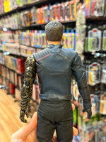 Winter Soldier -Falcon & Winter Soldier- (Marvel, Hot Toys) COMPLETE