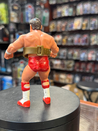 Arn Anderson UK Exclusive with Belt 0793 (Vintage WCW WWE, Galoob) - Bitz & Buttons