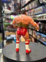 Arn Anderson UK Exclusive with Belt 0793 (Vintage WCW WWE, Galoob) - Bitz & Buttons