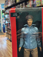 Liam Payne 1D Doll #2525 (Vintage Barbie Style One Direction, Hasbro)