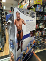 Daniel Bryan with Belt (WWE Elite Series 28, Mattel) SEALED - Bitz & Buttons