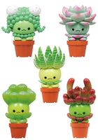 Succulent Friends Blind Box (Qualia Tokyo, Blind Box) - Bitz & Buttons