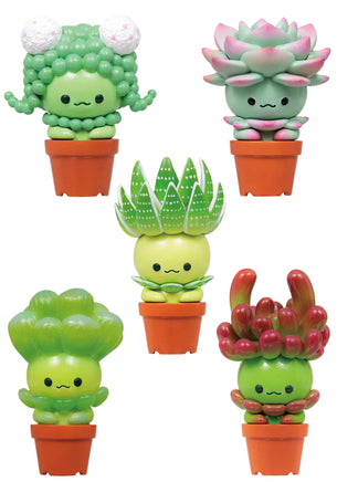 Succulent Friends Blind Box (Qualia Tokyo, Blind Box) - Bitz & Buttons