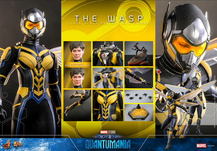 The Wasp Quantumania MMS691 (Marvel, Hot Toys) - Bitz & Buttons
