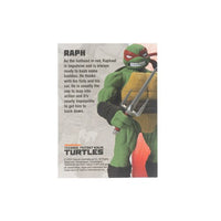 Raphael IDW Comic (Loyal Subjects BST, TMNT)