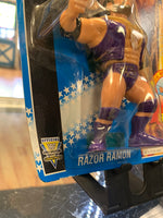 Purple Razor Ramon Pink Series 10 (WWE WWF, Vintage Hasbro)**American Card**