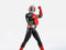 Kamen Rider No.2 -Shinkocchou Seihou- Legendary Showa Masked Riders Edition (Bandai SH Figuarts, Kamen Rider)